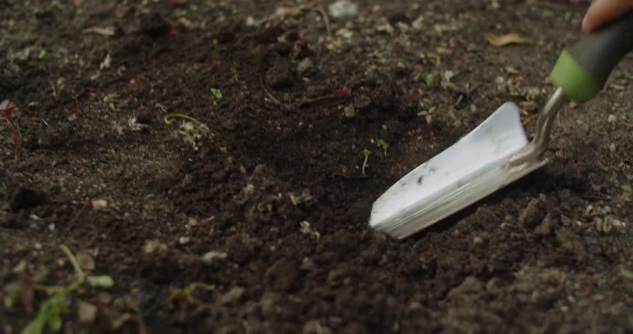 A mother teaches her son how to dig a hole for a seedling in their garden
