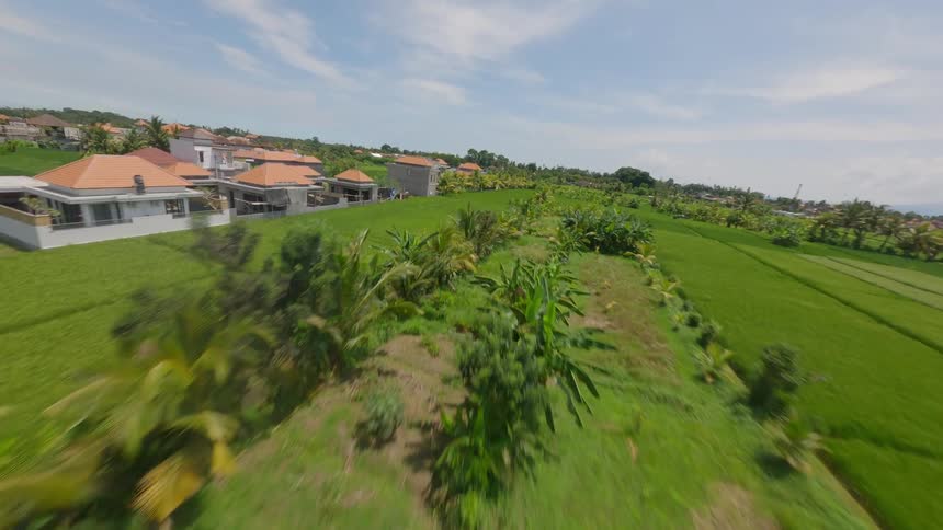Aerial scenery of green agricultural fields