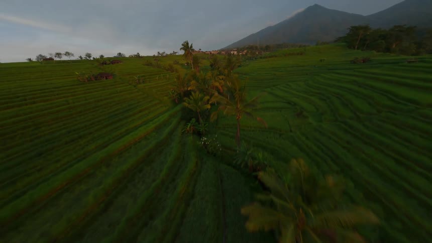 Aerial view of a twilight scene featuring lush green terraced fields with rows of crops