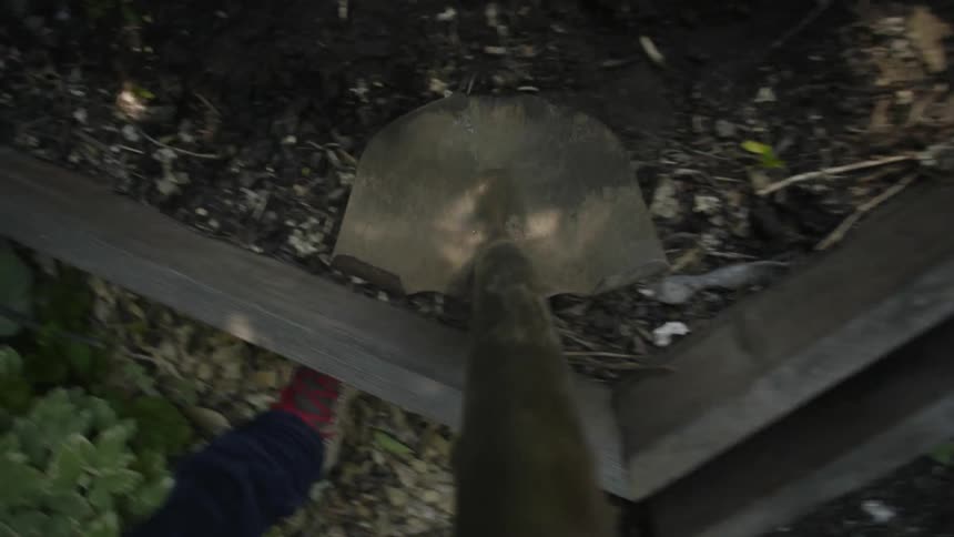 Point of view of a shovel picking up dirt from a flower bed and throwing it