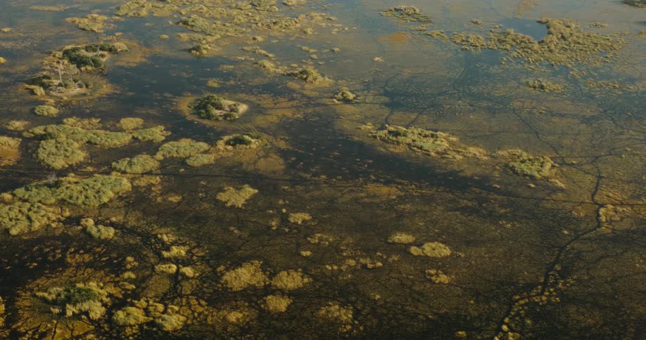 Vegetation covered islets rise above surrounding water in wetlands