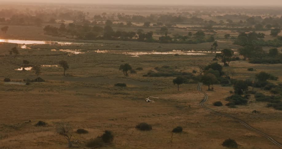 A helicopter flies towards the swamp