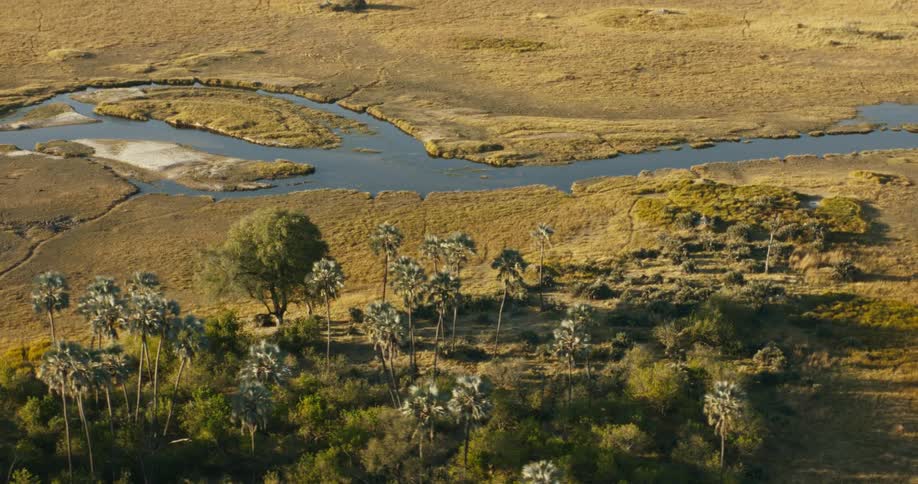 A river with some curves passing through a region with low vegetation and some trees nearby