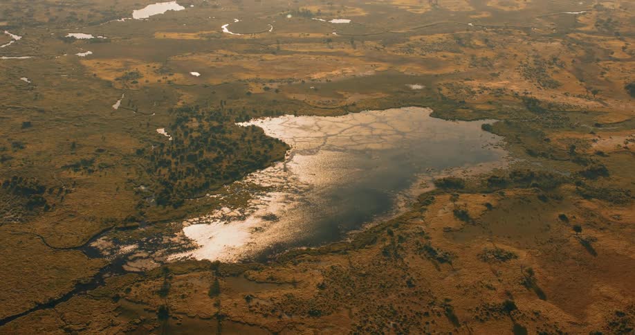 Aerial view of a natural zone with body of water river in a jungle