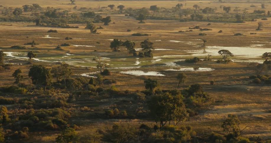 Aerial landscape of a jungle with bodies of water on the Okavango Delta