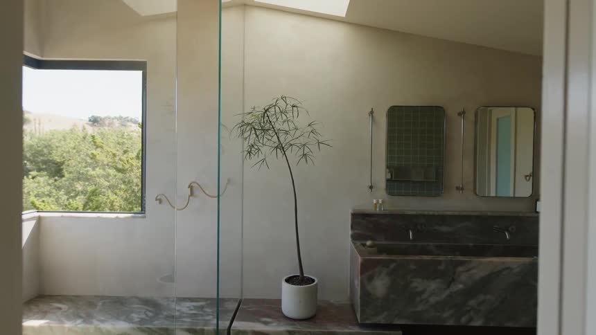 A modern bathroom with a freestanding bathtub on a raised marble platform a potted plant with slender leaves stands to the left