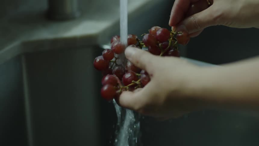 Pair of womans hands washing purple grapes in the sink