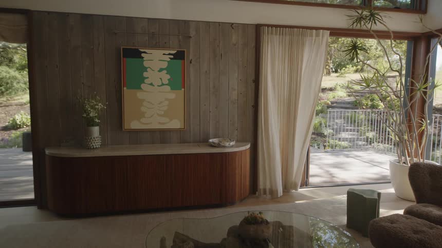 Dog walking inside a modern house