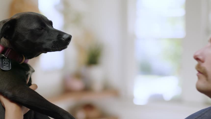 A man throws a kiss to a small black dog at home