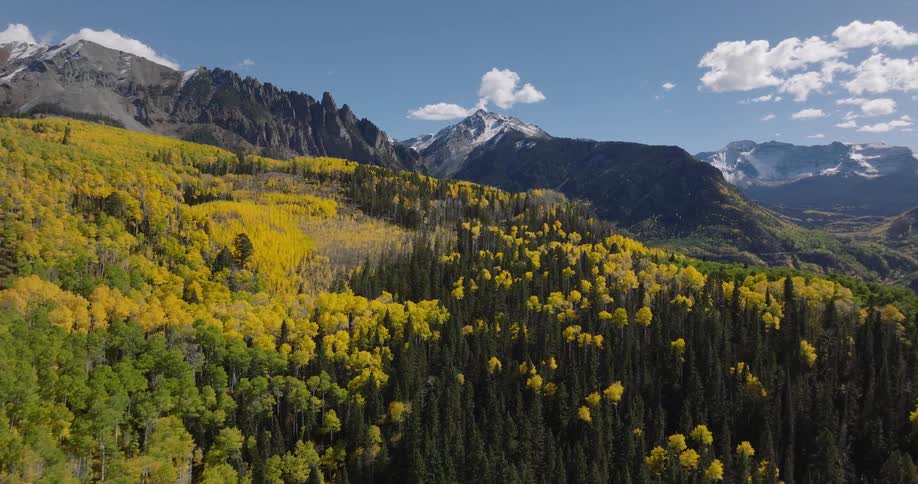 Aerial landscape of a greenish and yellowish forest with mountains on the horizon