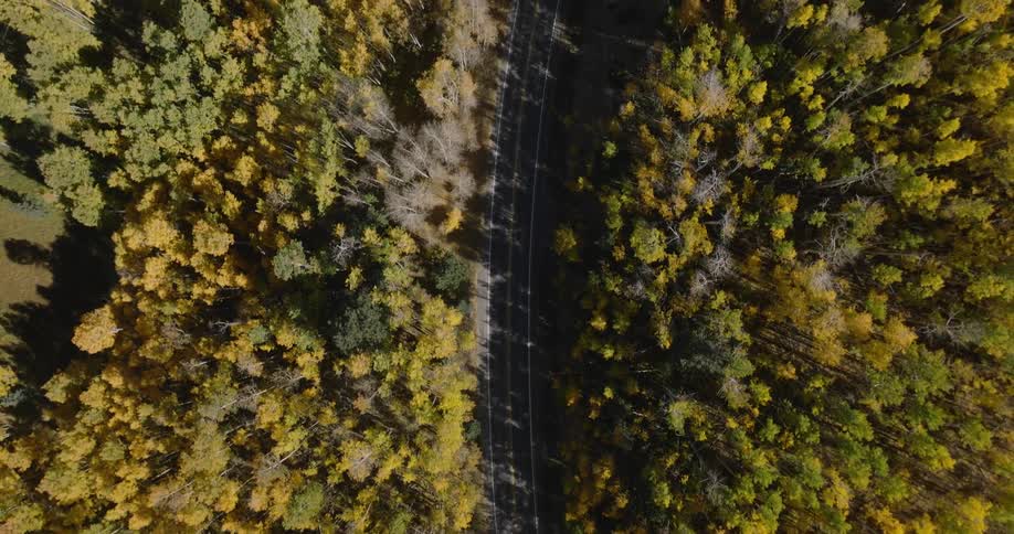 Aerial of a highway in an autumn forest setting