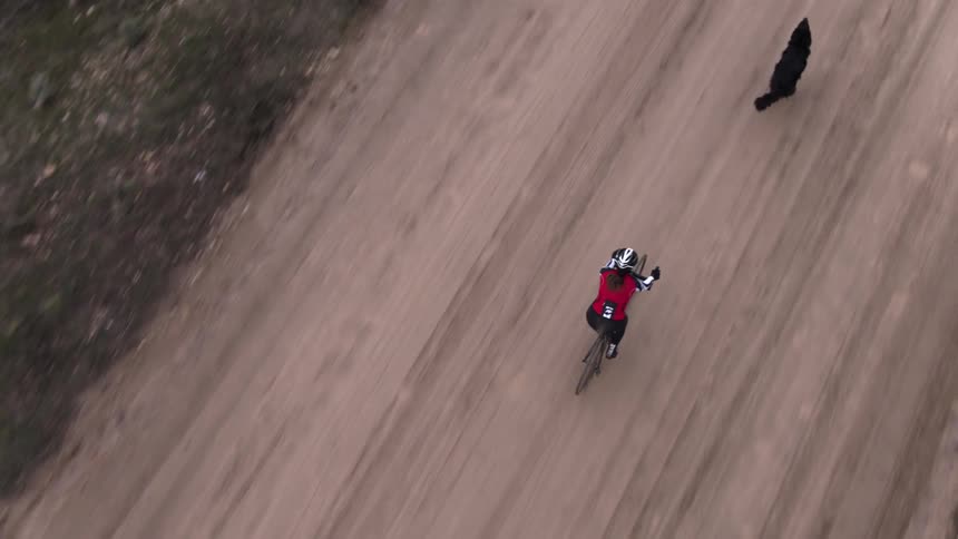 Person riding bike after running dog down dirt road