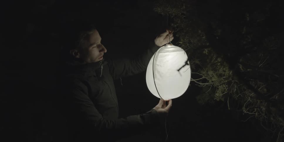 A man hangs a lantern from a tree at night