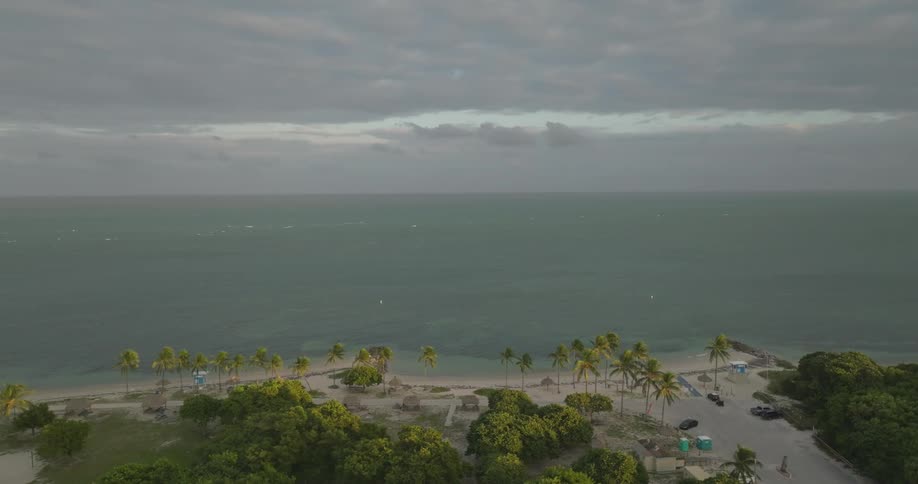 Aerial view of coconut trees in the sand on a tropical beach