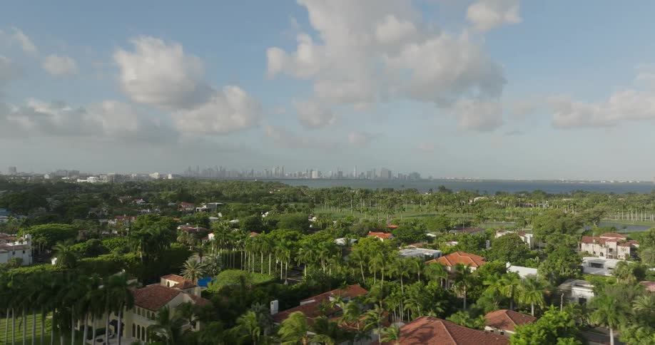 The homes are surrounded by trees