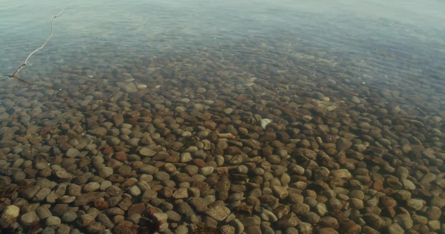 Clear water flowing over a large pebble rock covered river bottom