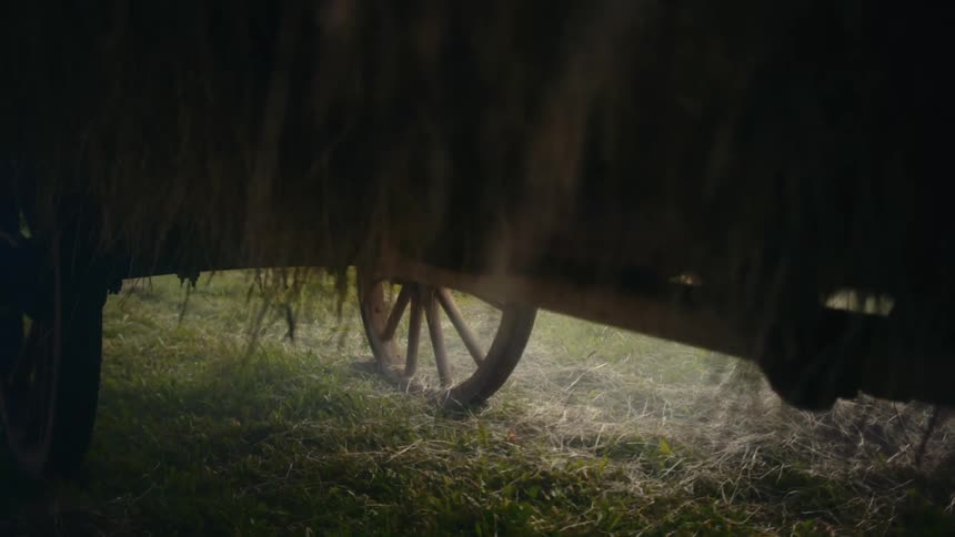 Historic hay cart on green grass