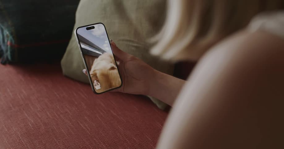 A person holding a cell phone and on the screen is playing a video of a beige dog