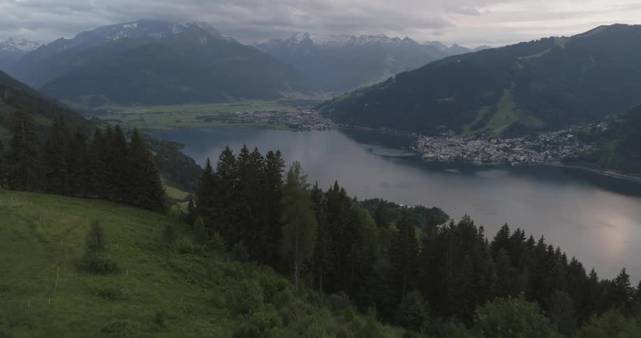 An aerial view of a mountain covered with pine trees and some cows and in the background there is a bay with a coastal town
