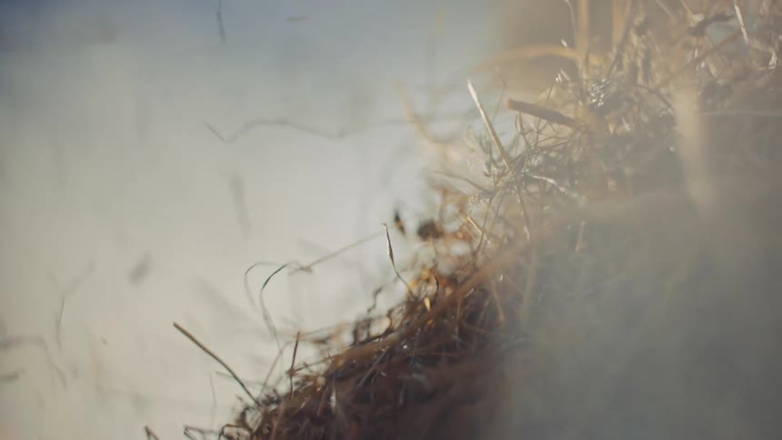Close up view of a hay bale with straws and particles falling down blown by the wind