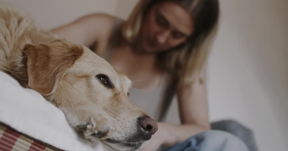 Woman sitting and petting her golden retriever