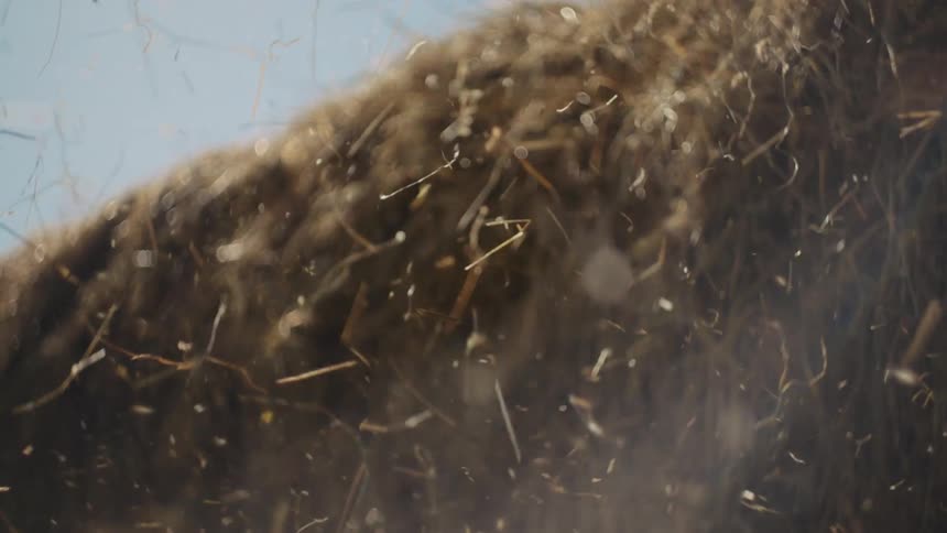 Dry grass flying