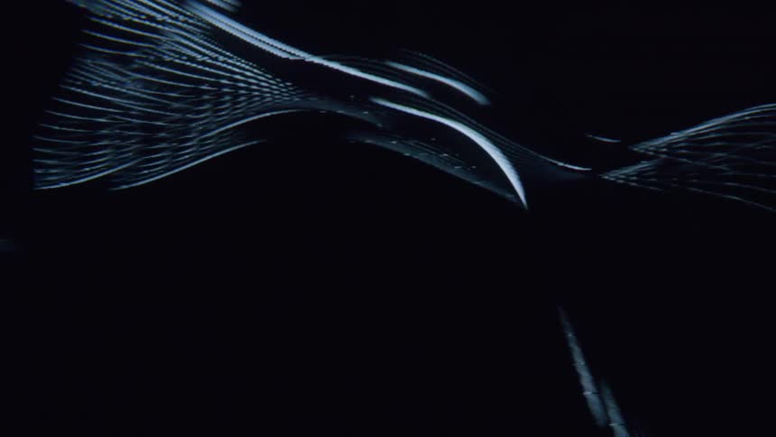 Moving lines form abstract shapes in a screensaver