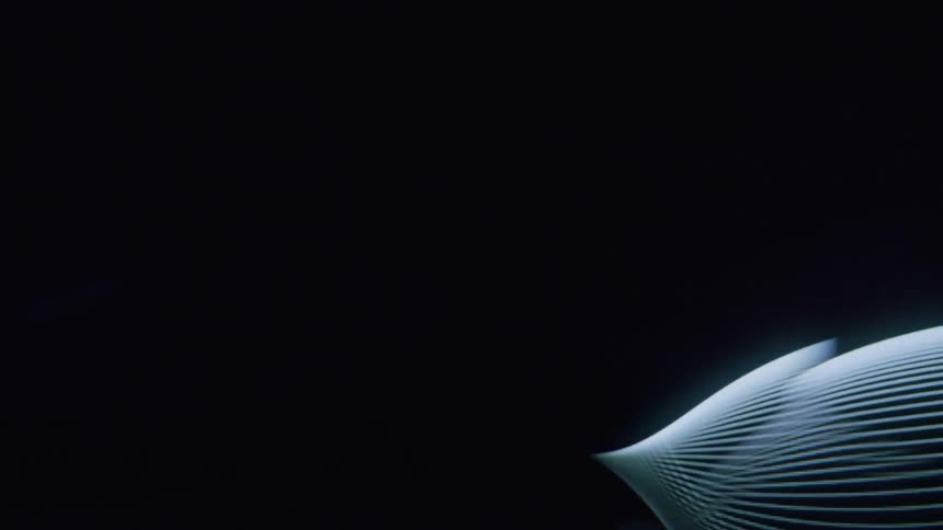 Lines flow across a black background forming shapes in a screensaver