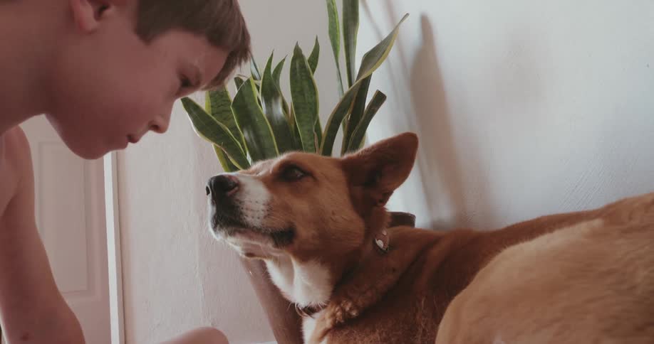 Boy has a staring contest with his dog before the dog looks away
