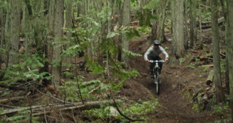 A man descends a steep root-covered mountain bike trail in a thick forest