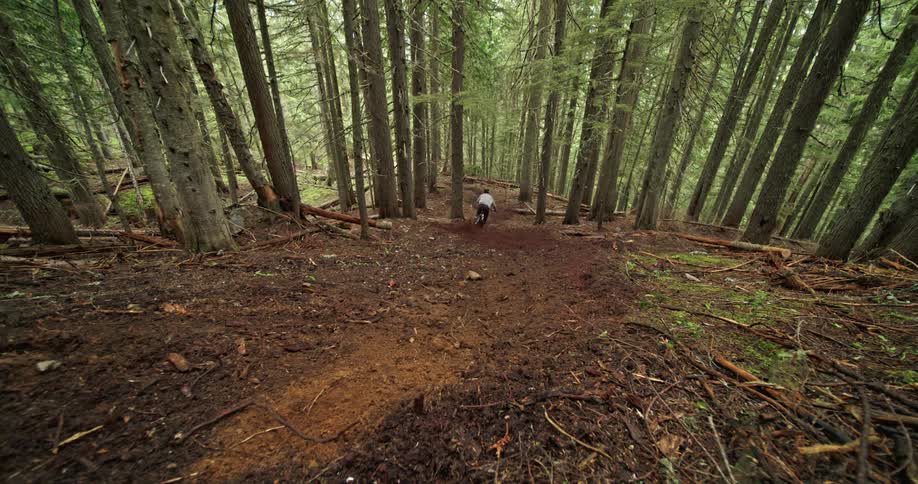 Mountain biker carving through loose dirt at high speed on a dense forest trail