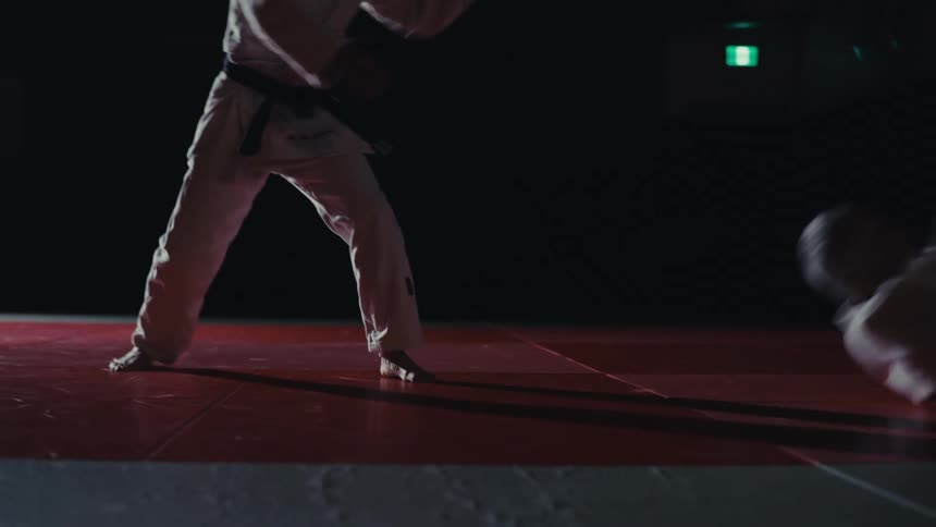 Person rolling around in a dojo in a martial arts fight