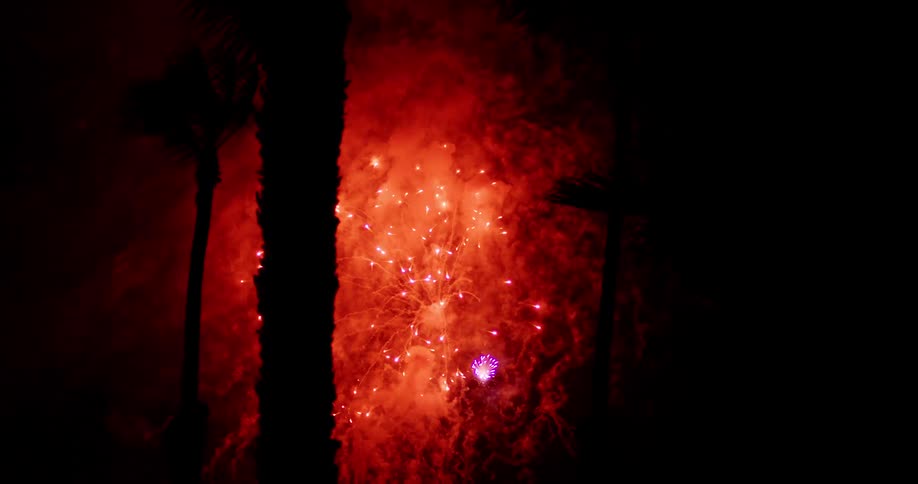 A view of some fireworks exploding at night