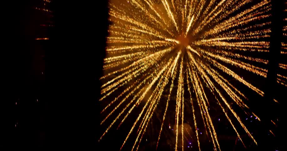 Fireworks explode in the sky near palm trees