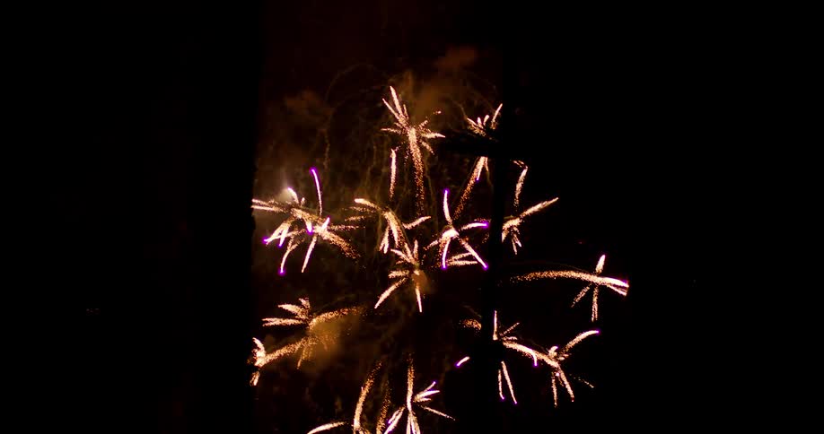 Some colorful fireworks exploding in the night sky