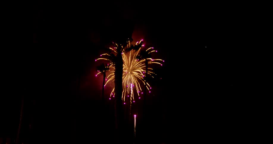 A firework display against a dark sky