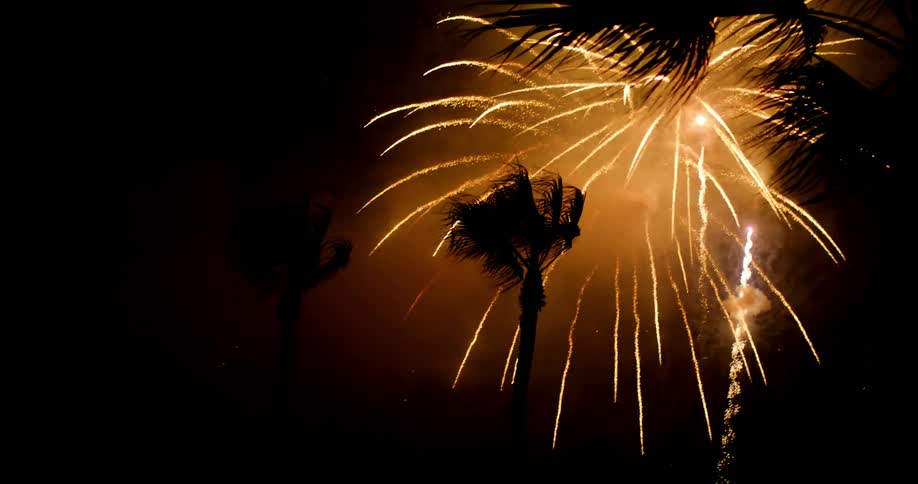 Fireworks explode and illuminate the night sky