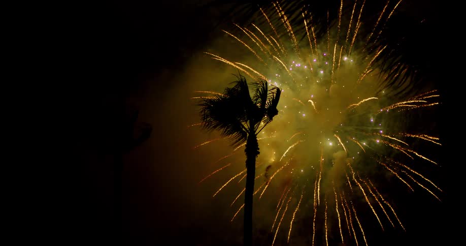 Fireworks explode in the sky above palm trees