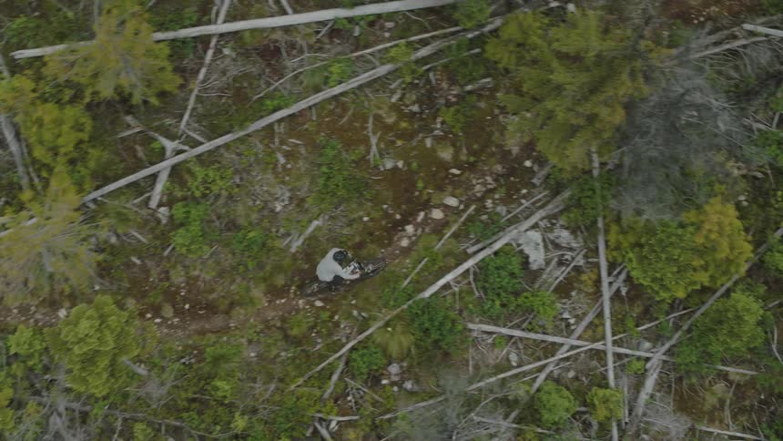 Birds eye view of mountain bike rider climbing an alpine trail