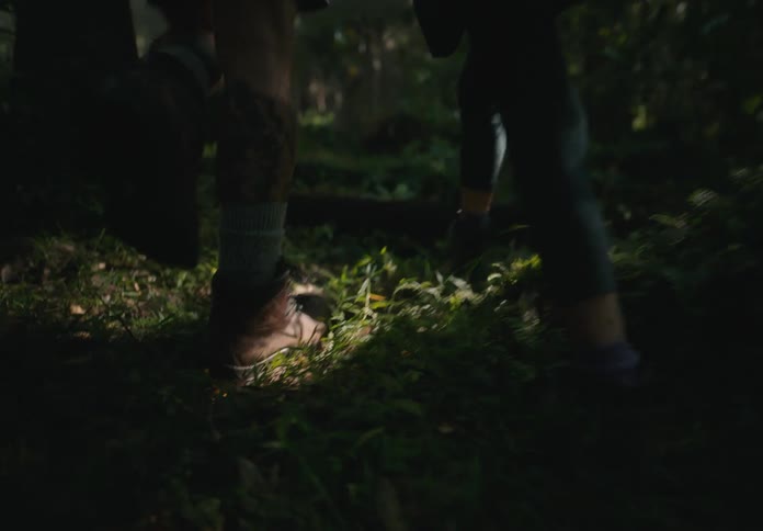 Two individuals hike through a dense forest in the summer