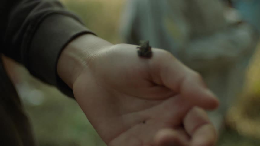 Little frog in a persons hand