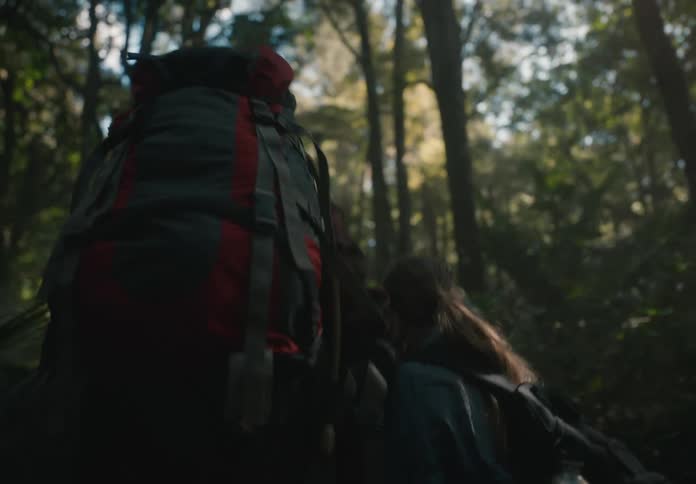 Adult and a girl holding hands walking with backpacks in a forest