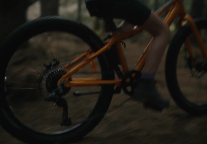 Little girl riding a bike in a forest