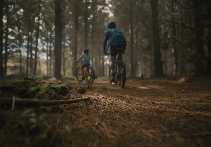 Two children riding bicycles in the forest