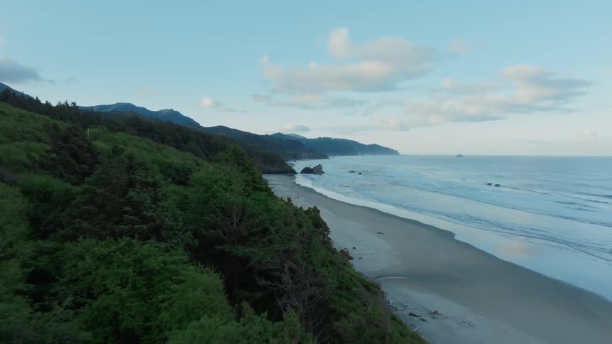 Aerial panorama of a desert beach with a greenish vegetation coast