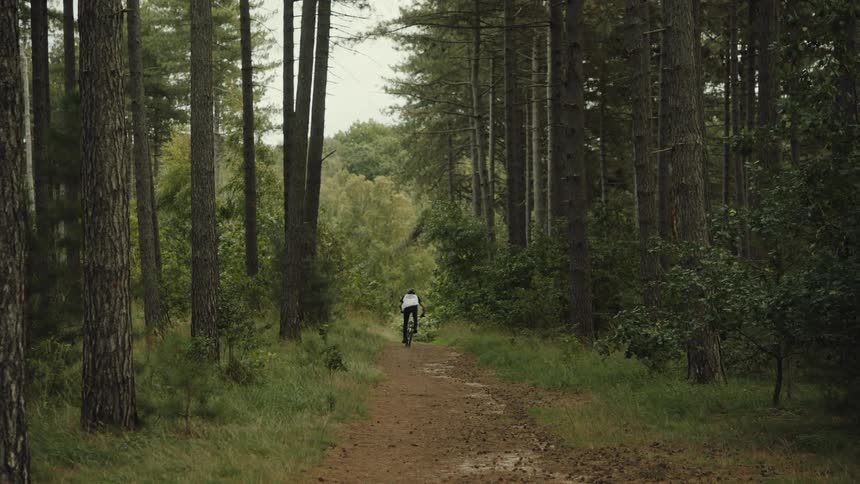 A man speeding through a forest trail on a bicycle
