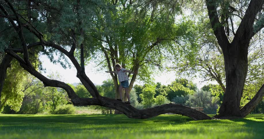 A young girl is climbing on a tree branch at a park