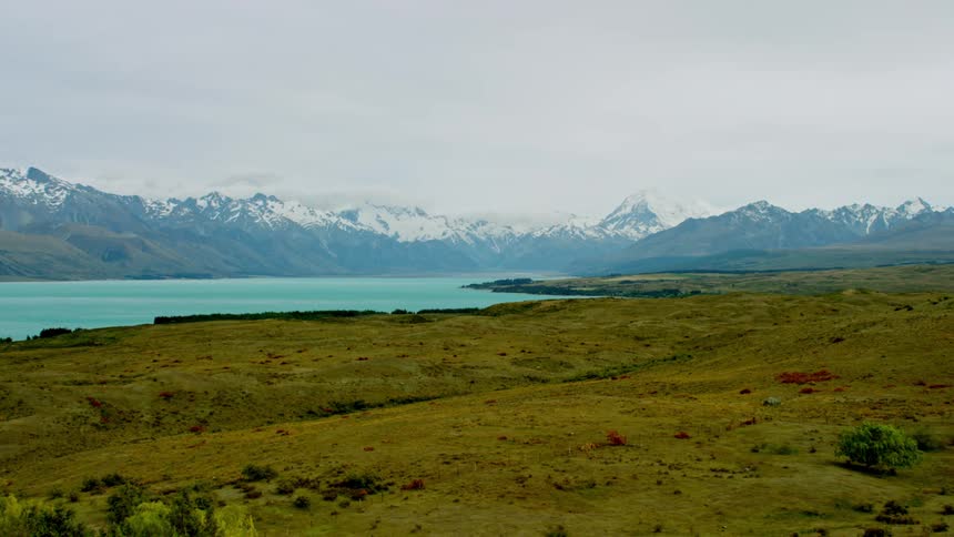 Blue lake surrounded by a native tussock field and snowcapped mountains