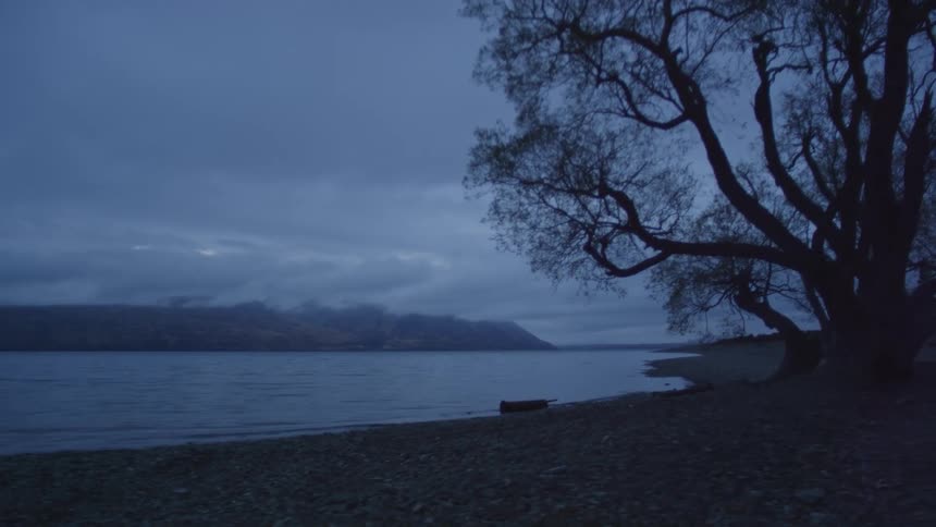 A lakeside scene at dusk featuring a leafless tree on the right