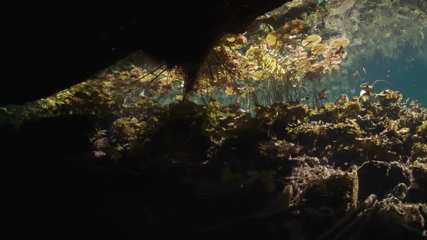 Submerged view in a cave with solar reflection